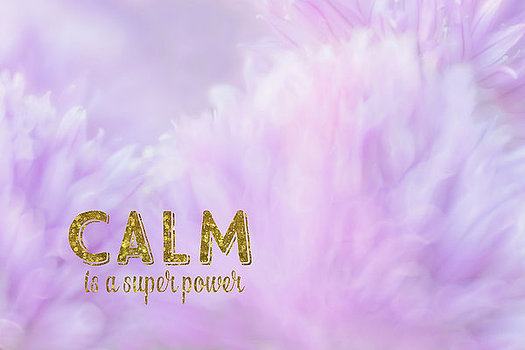 calm-is-a-super-power-ramona-murdock